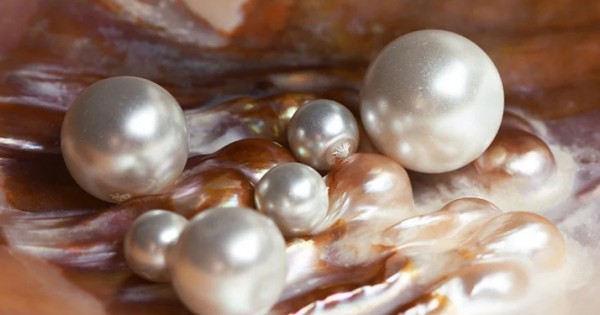 12 Facts About Pearls That You Might Not Know