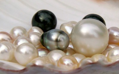 Freshwater Pearls vs Saltwater Pearls: How to Choose Based on Price