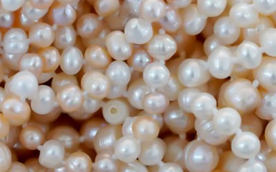 How to Buy Pearls: A Step-by-Step Buying Guide