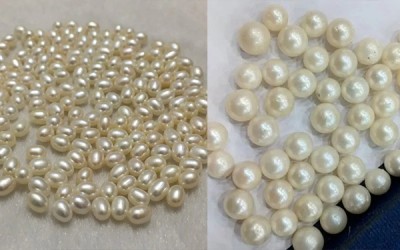 Main Differences Between Freshwater vs. Saltwater Pearls