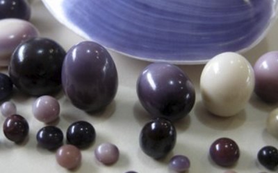 The Fascinating World of Quahog Pearls: A Comprehensive Introduction