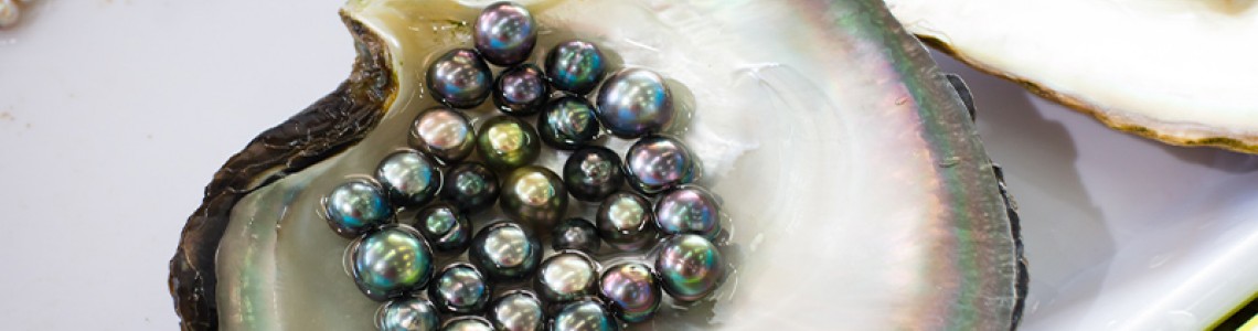 The Secrets of Pearl Price: Why Are Pearls So Expensive?