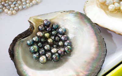 The Secrets of Pearl Price: Why Are Pearls So Expensive?