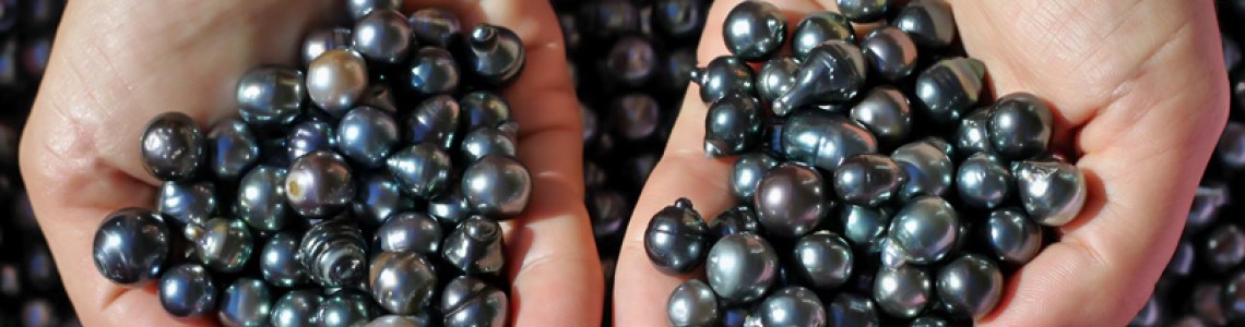 The Ultimate Guide to Black Pearls and How Much Are They Worth