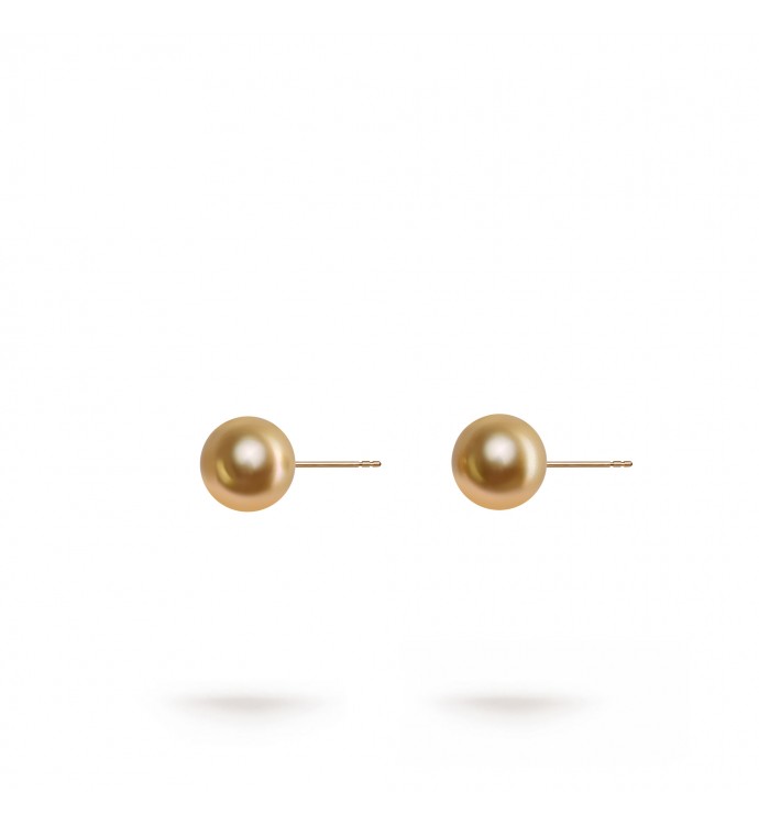 10.0-11.0mm Golden South Sea Pearl Stud Earrings in 18K Gold - AAAA Quality