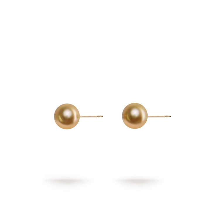 10.0-11.0mm Golden South Sea Pearl Stud Earrings in 18K Gold - AAAA Quality