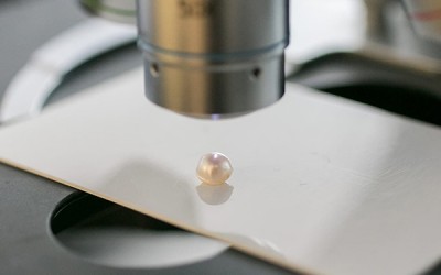 Are Freshwater Pearls Real Pearls? The Ultimate Buying Guide