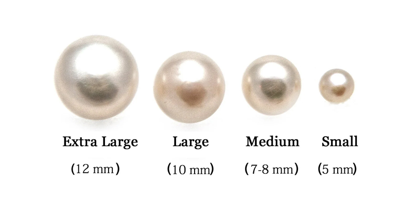 How Much Do Pearls Cost? The Ultimate Pearl Value Guide