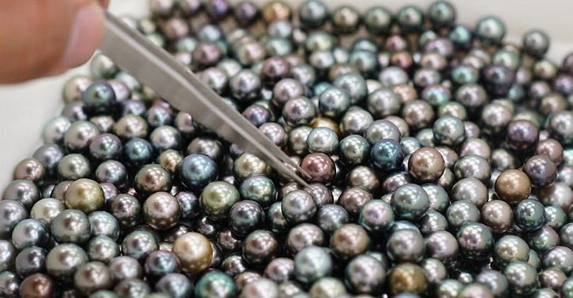 black pearls