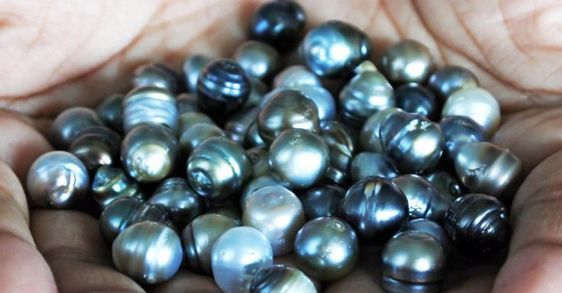 black pearls